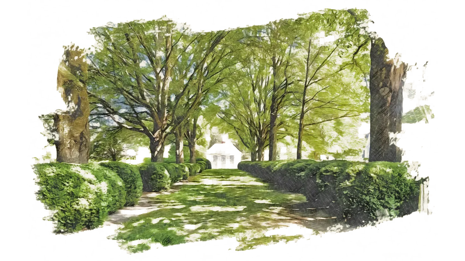 A tree-lined drive leading toward a house — Virginia