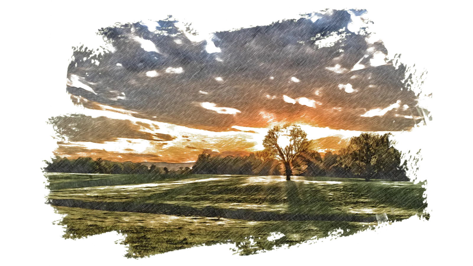 A backlit tree at sunset, single landmark in an open field — Virginia